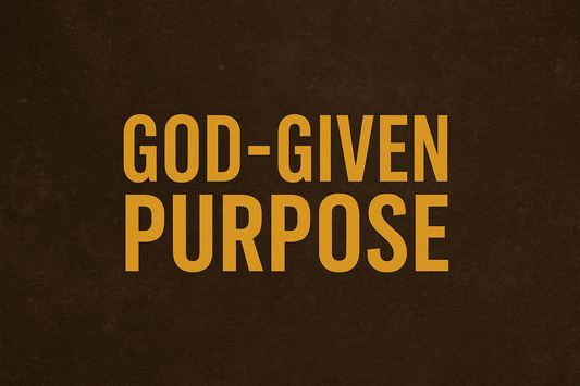 Why Purpose Matters in Everyday Life